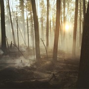 Aplicaciones prácticas de peritajes de medio ambiente