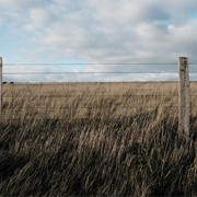 Casos en los que se necesita una medición de fincas