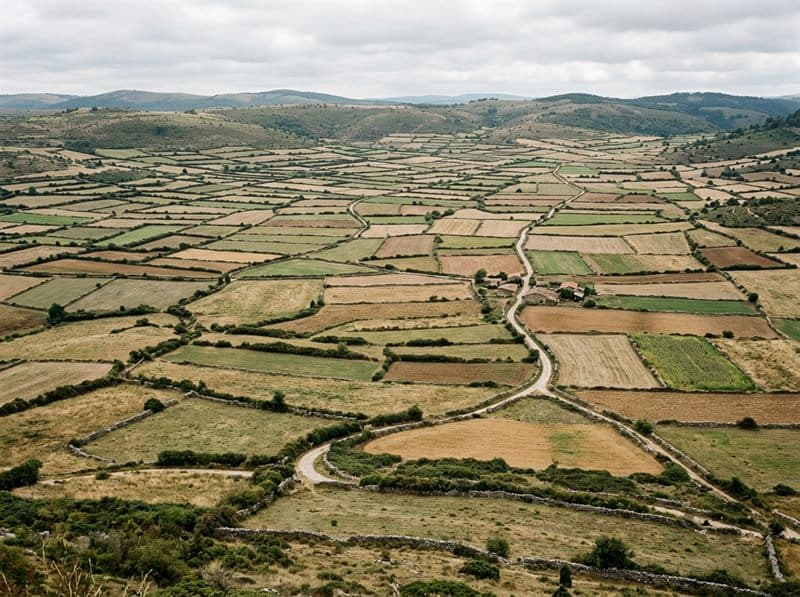 Reparto de fincas de una herencia en Pontevedra